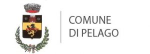 Stemma comune Pelago